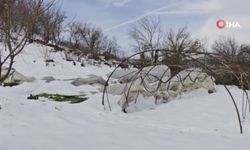 Yoğun kar yağışı çok sayıda serayı yıktı! Yüzbinlerce TL zarar var...