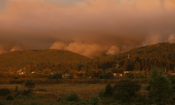 Şili'nin güneyinde meydana gelen orman yangınlarında 18 kişi öldü