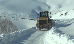 Van, Hakkari, Bitlis ve Muş'ta 630 yerleşim yerine ulaşım sağlanamıyor