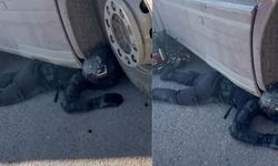 Adana'da inanılmaz kurtuluş! Sakinliği herkesi şaşırttı...