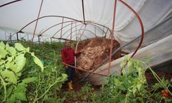 Selden sonra şimdi de heyelan! Evlerin duvarları çatladı, seralara dev kayalar düştü