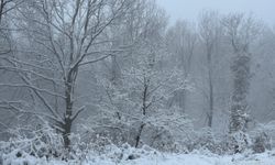 Çanakkale'nin yüksek kesimlerinde kar etkili oldu