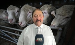 Küçükbaşa tarihi destek: 150 bin küçükbaş üreticiye veriliyor