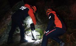 Define bulmak için girdikleri sarnıçta mahsur kaldılar