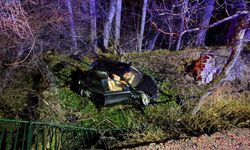 Ehliyetsiz sürücü 5 metrelik bahçe duvarından uçtu