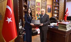 "Eserlerle Devlet Bahçeli" kitabı yayımlandı