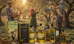Gerçek Zeytinyağı Nasıl Anlaşılır? Tüketiciler İçin Bilinçli Seçim Rehberi