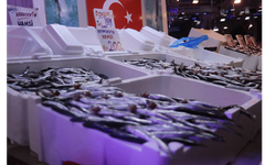 Hamsi tezgahlardaki tahtına yeniden oturdu