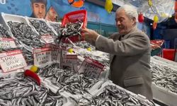 Deniz bereketi tezganlara yansıdı! Hamsi fiyatları dibe indi...