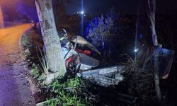 Hatay'da ağaca çarpan otomobilin sürücüsü yaralandı