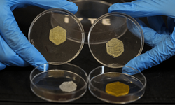 İzmir'de geliştirilen "yara örtüsü" kronik yaralar için umut olacak