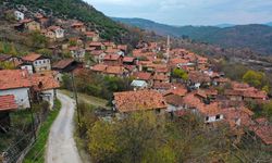Türkiye'nin 70 köyünde 10 veya daha az kişi yaşıyor