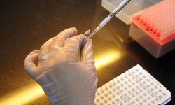 İşe alımlarda yeni dönem! Şirketler artık bu testi istiyor...