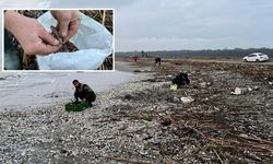 Para verip alıyorlardı! Fırtına sonrası binlercesi sahile vurdu...