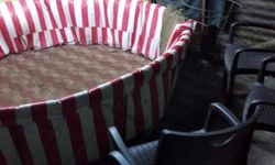 Hatay'da horoz dövüştürenlere 990 bin lira ceza