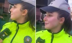 Şanlıurfa'da polise hakaret eden sürücü gözaltına alındı