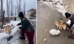 Sokak hayvanlarını beslemek için her yıl bin 400 kilometre yol geliyor