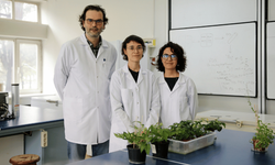 Türk bilim insanları, Ay ve Mars regolitleri benzerinde domates yetiştirdi