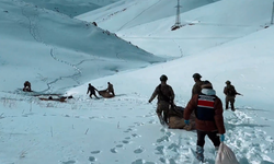 Van ve Hakkari’de 406 kilo uyuşturucu ele geçirildi