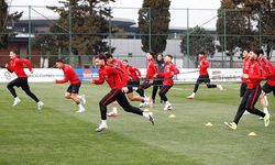 A Milli Futbol Takımı, Kosova maçı hazırlıklarına başladı
