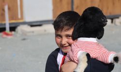 Annesi doğumda telef olan 'Boncuk' kuzu, elbisesi ve biberonuyla ilgi odağı oldu