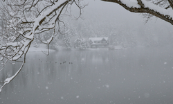 Abant ve Gölcük'te martta yağan kar tatilcileri sevindirdi