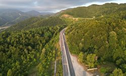 Google'da 3,5 milyon kez arandı! Bolu Dağı tartışmasının altından bakın ne çıktı...