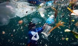 Deniz kirliliğiyle mücadele: 325 bin ton atık temizlendi