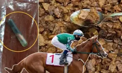 CHP’li Mersin Belediyesi'nin dağıttığı kavurmadan yarış atının çipi çıktı