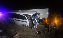 Erzincan'da otobüs yoldan çıktı