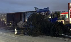 Freni boşalan tır 4 araca çarpıp elektrik direğini devirdi