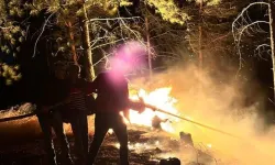 Hatay'da çıkan orman yangını kontrol altına alındı