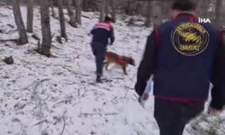 Ormanda kemikler bulunmuştu! 10 yıllık sır perdesini sigara izmariti çözdü...