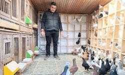 Memurluğu bırakıp bu işe girdi! Tanesini 1 milyon liraya satıyor