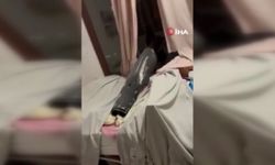 Kuveyt’te vurulan füzenin enkazı eve düştü! 11 yaşındaki çocuk hayatını kaybetti