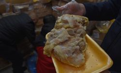 Şanlıurfa'da 50 ton bozuk tavuk ele geçirildi