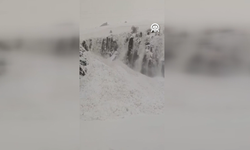 Şırnak-Hakkari kara yoluna çığ düştü