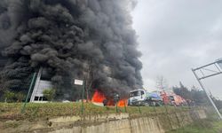 Trabzon'da fındık fabrikası deposunda yangın