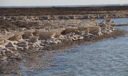 Kuruma tehlikesi yaşanan Tuz Gölü yeniden canlandı