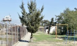 Kıbrıs'ta alçak saldırı! EOKA yanlıları Türkleri hedef aldı