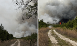 ABD'de orman yangınlarında 54 ev ve 27 bin dönümlük alan küle döndü