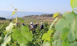 Anadolu'nun Yöresel Lezzetleri Dijital Platform Üzerinden Sofralara Ulaşıyor