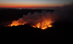 Beykoz'da ormanlık alanda çıkan yangın kontrol altına alındı