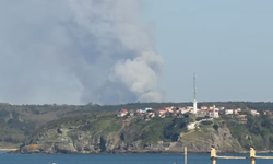Beykoz’da ormanlık alanda yangın