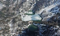 Borçka Karagöl Tabiat Parkı ziyaretçilerini ağırlamaya devam ediyor