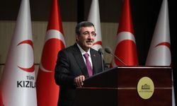 Cumhurbaşkanı Yardımcısı Yılmaz: Oyun platformlarına yönelik daha sıkı denetimler olacak