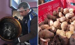 Vatandaşın sağlığını hiçe saydılar! Çürümüş sebzeler, küflü tencereler, uçuşan sinekler