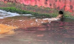 Deniz kirliliğine sıkı denetim: 25 milyonluk cezai işlem uygulandı