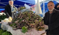 Doğada kendiliğinden yetişen şifa deposu! Faydaları saymakla bitmiyor