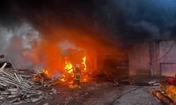 Edirne'de kereste fabrikasında yangın